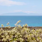 Aegean Blue Hotel